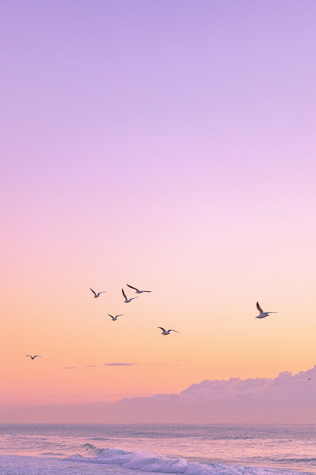 Banner image for: 